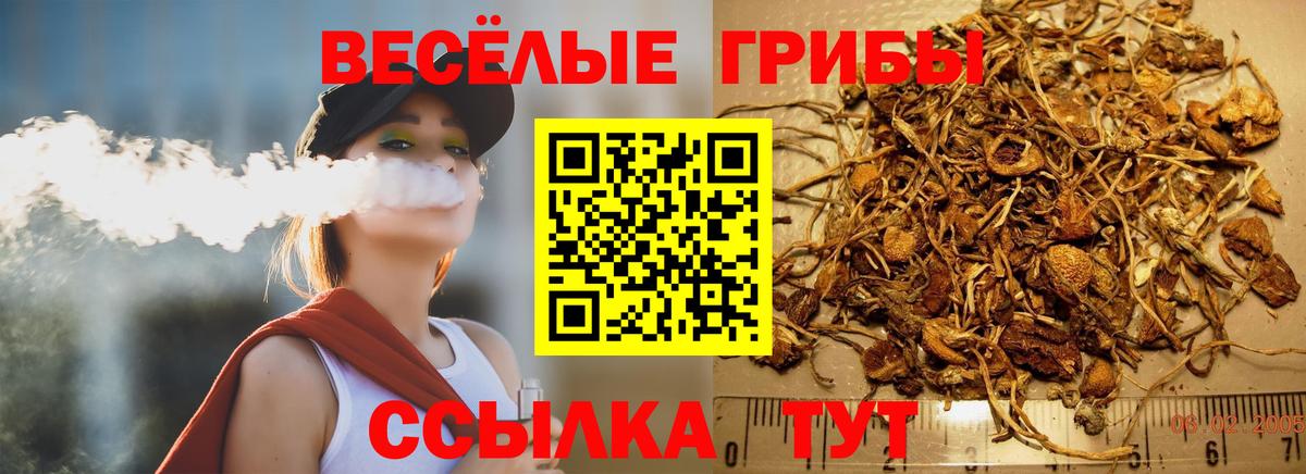 Псилоцибиновые грибы ЛСД Канск
