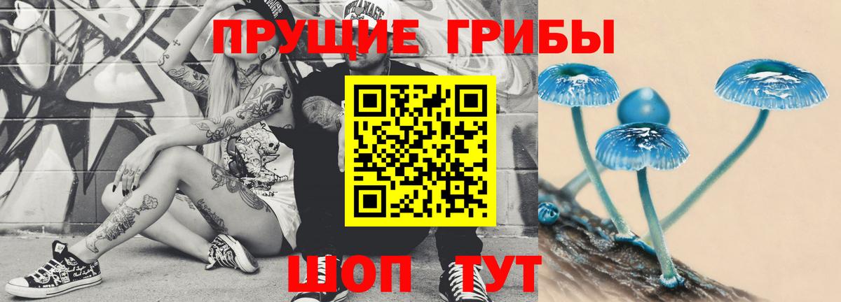 Канск  Псилоцибиновые грибы ЛСД  Вход с VPN  Галлюциногенные грибы Psilocybine cubensis 