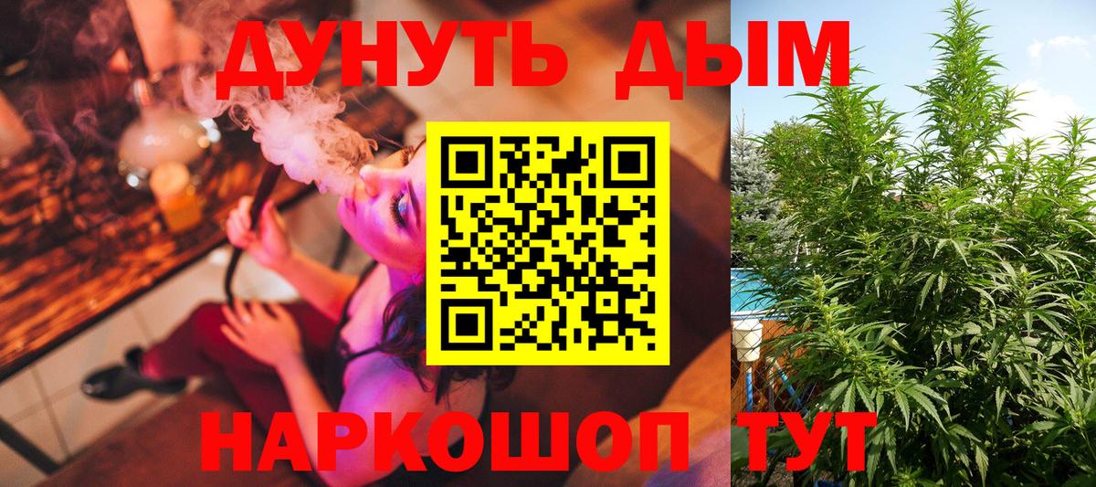 Бошки марихуана семена  Бошки марихуана SATIVA & INDICA  Бошки марихуана LSD WEED  Вход с VPN  Канск 